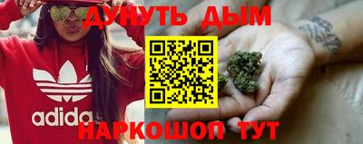 стаф Кандалакша