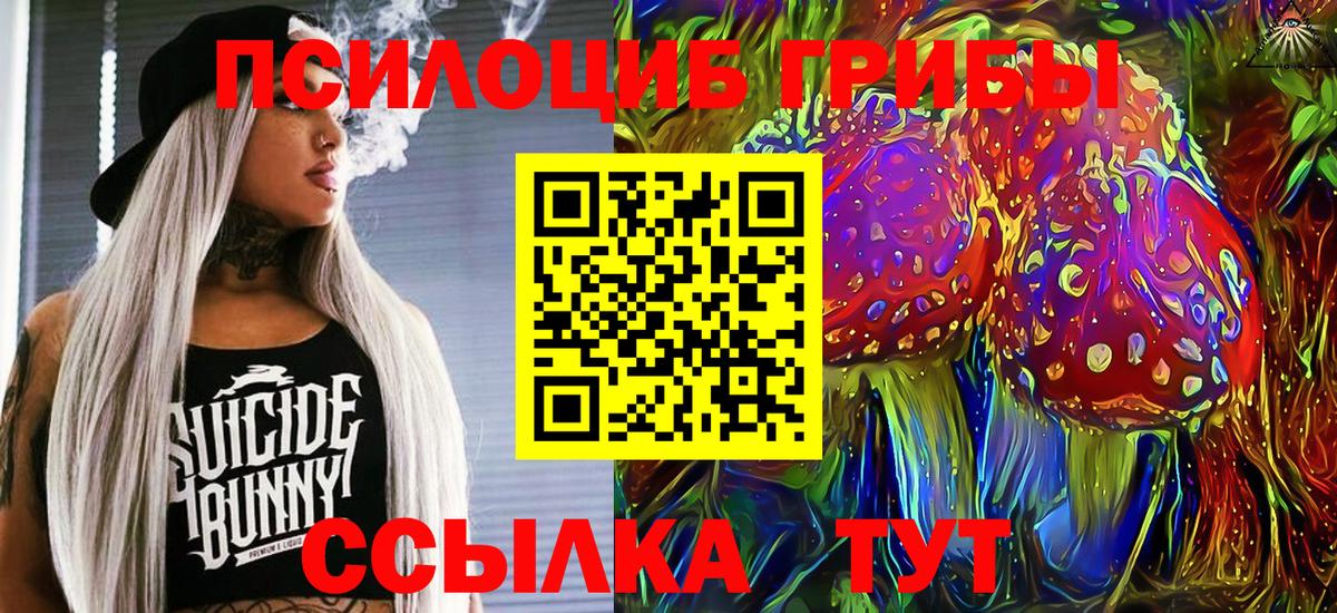 Псилоцибиновые грибы Psilocybine cubensis  Псилоцибиновые грибы мухоморы  Лыткарино  Вход с VPN 